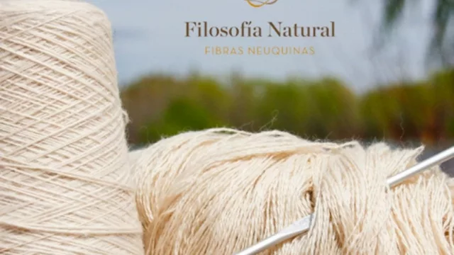 Paula Rosas (de Neuquén) fue seleccionada entre las finalistas del concurso nacional “Filosofía Natural”