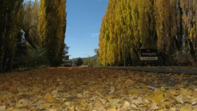 Encuentro de Emprender Turismo en Loncopué (etapa de consultoría con emprendedores)
