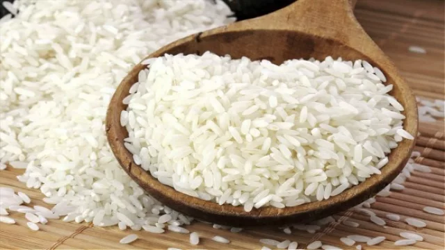 Con Tucumán a la cabeza, se impulsa a retomar el cultivo histórico de arroz