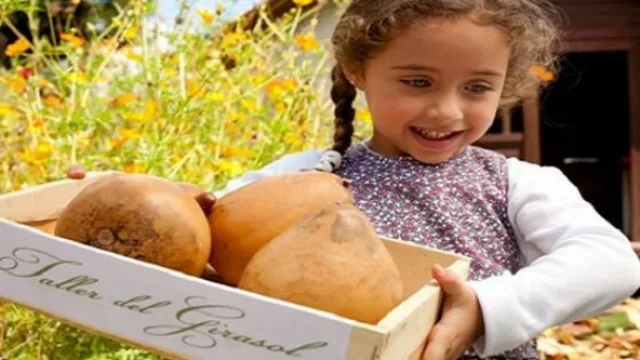 La franquicia del día: Taller del Girasol (diseños para niños) desde $ 450.000 + IVA