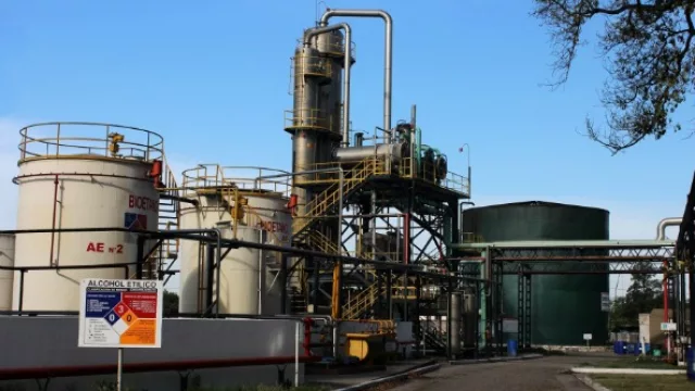 La elaboración de bioetanol a base de la caña de azúcar creció un 75%