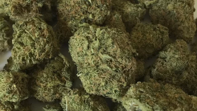 El negocio de la marihuana crece: el Estado consiguió 2.384 nuevos clientes