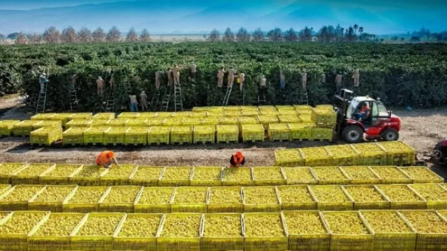 La empresa tucumana Citrusvil se destacó en Miami en Congreso de Agronegocios