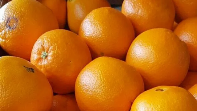 Desde Tucumán y la mesopotamia ingresan naranjas argentinas a Brasil