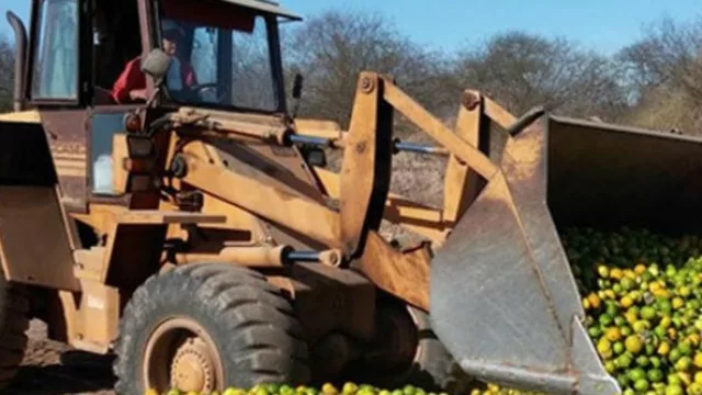 Tucumán lanzó las barreras fitosanitarias móviles para prevenir el HLB