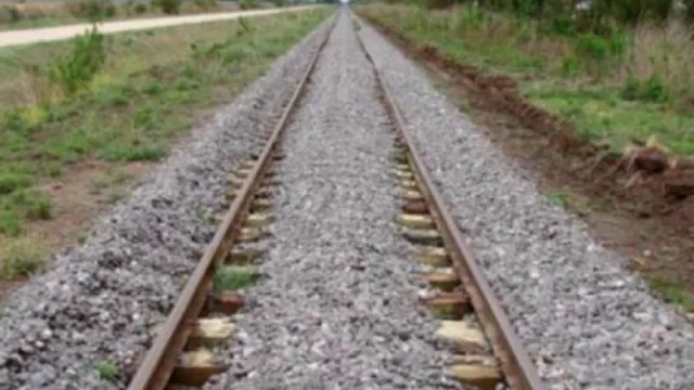 Quieren unir Vaca Muerta con Bahía Blanca a través del sistema ferroviario