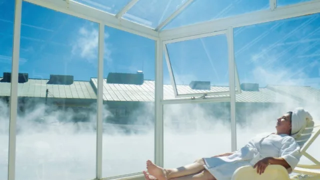 Neuquén Sede del VI Congreso Iberoamericano de Peloides en el 2019 (fangos y aguas mineromedicinales)