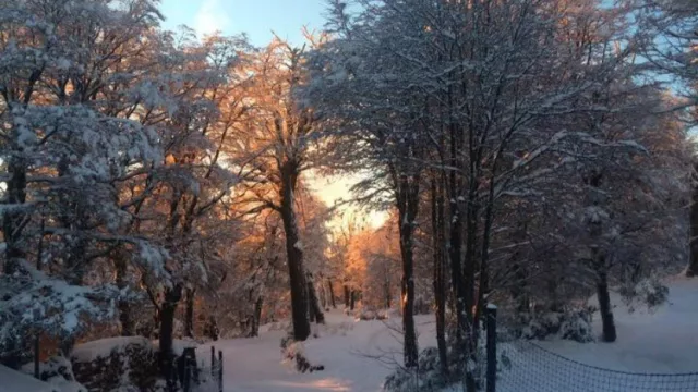Tiene todo y más: Río Negro promociona la temporada invernal (avistaje de ballenas incluído)