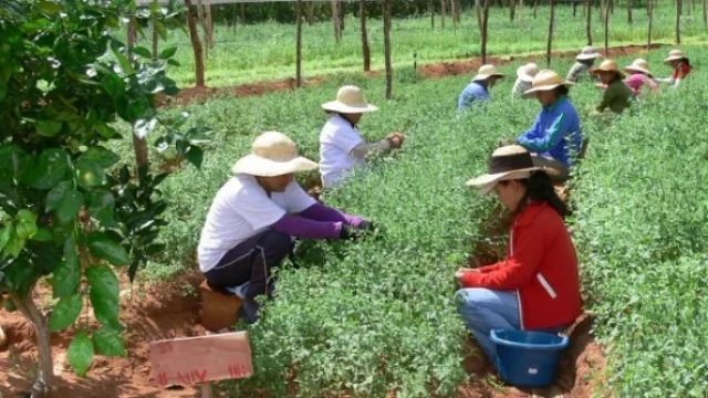 Entre Ríos y Uruguay establecen un acuerdo en base a buenas prácticas agrícolas
