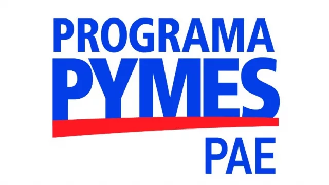 Programa PyME de PAE: llega "Crisis Económica-Financiera. El manejo en las distintas etapas de vida de las organizaciones"