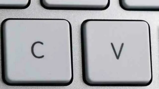 8 tips ineludibles para un CV exitoso