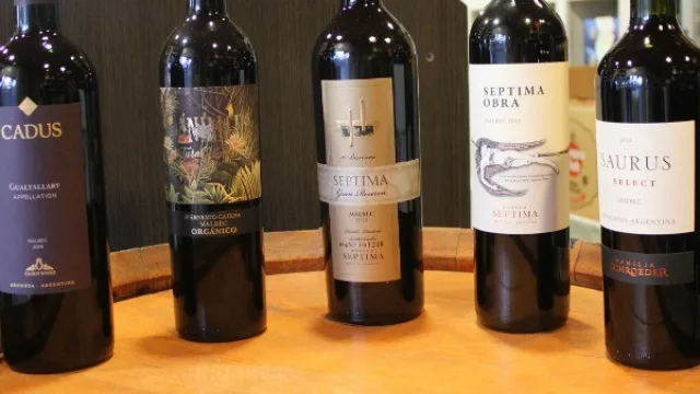 #MalbecWorldDay: seguimos festejando, ahora La Masía Vinoteca nos recomienda cinco etiquetas premium