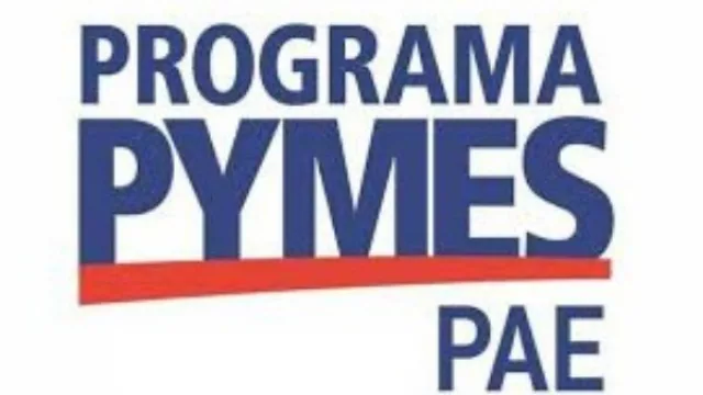 Vuelven las capacitaciones para las pymes neuquinas (Centro PyME-ADENEU y Pan American Energy renuevan su compromiso)