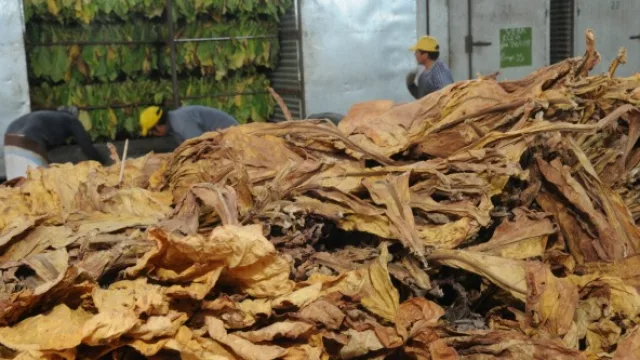 Una buena para los tabacaleros: El FET pagará el 50% de sus facturas de gas