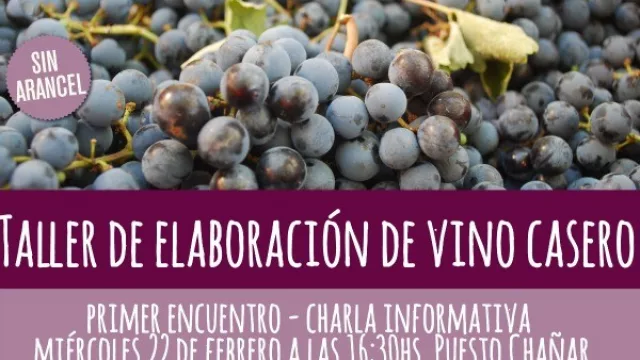 Cómo elaborar un vino casero: charla introductoria gratuita