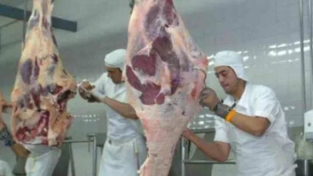 Exposición Rural de Neuquén: ¿la provincia puede convertirse en productora de carne y maíz?