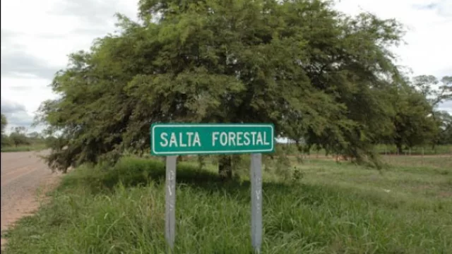 ¿Y ahora? ¿Qué hacemos con las 81.819 hectáreas recuperadas de Salta Forestal?