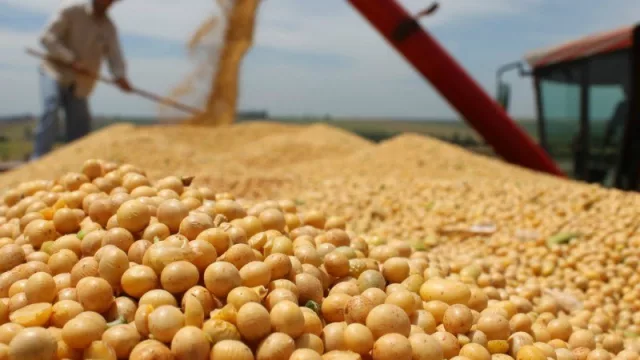 Empleadores y contrataciones 2017: la Patagonia muestra significativa baja, el resto del país moderado (el dato mundial es positivo)