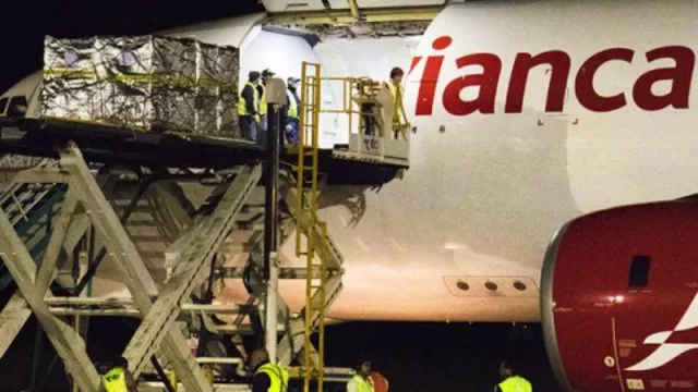 Cerezas del Alto Valle a Miami: partió la segunda exportación directa desde el aeropuerto de Neuquén