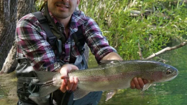 Comienzo de la temporada de Pesca Deportiva en el Corredor del Limay (las “arco iris” y “marrones” que buscan todos)