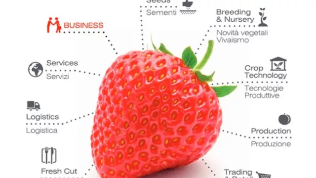 Neuquén se prepara para Macfrut 2017 en Italia (potencial apertura de mercado europeo)