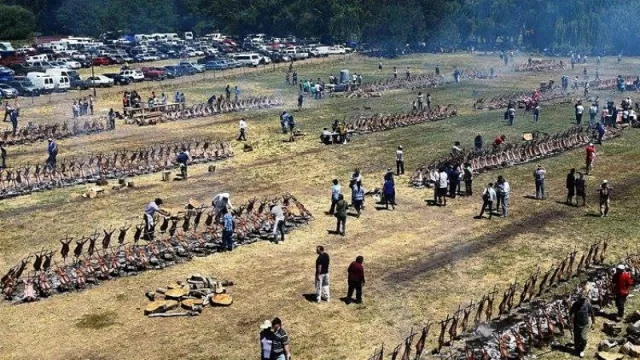 Se viene la Fiesta Nacional del Chivito en Chos Malal (“chivitos” para degustar y disfrutar de buenos espectáculos)