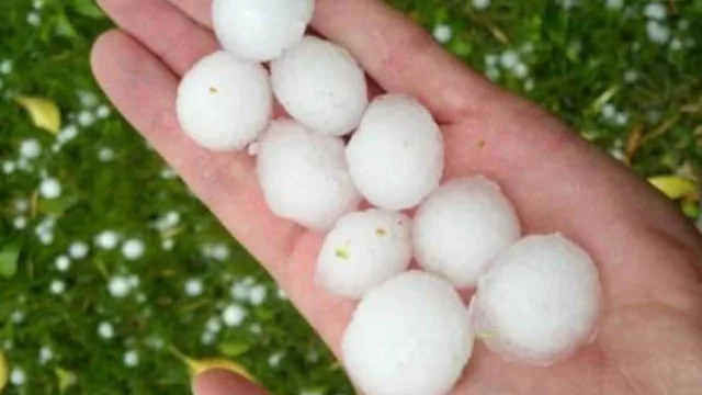 Ayuda financiera a tasa cero para productores afectados (se decretó la emergencia agropecuaria)