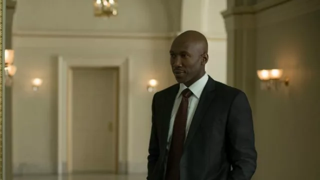 “Las empresas deberán tener su Remy Danton” (el lobby en proceso de legitimación en Argentina)