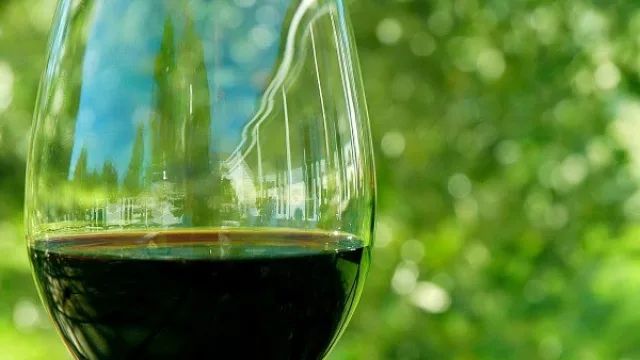 Los vinos de la Norpatagonia serán premiados en Neuquén Capital (más de 40 muestras participan)