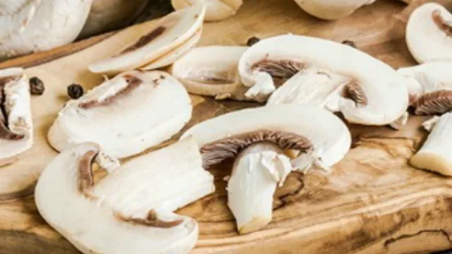 II Simposio de Bioeconomía Patagonia (experiencias con hongos, cashmere y fuentes renovables)