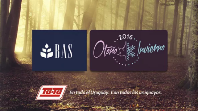 Colonia espera más turistas argentinos que el año pasado