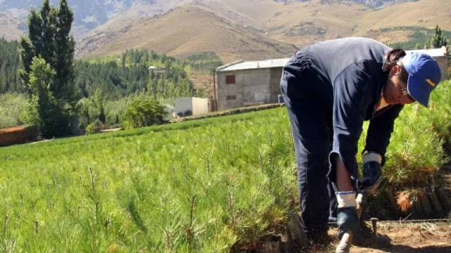 Llega a Neuquén el primer concurso nacional para la Emprendedora Rural