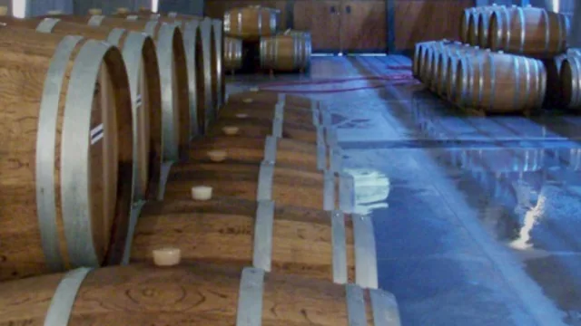 Ministerios trabajan con bodegas neuquinas para potenciar el enoturismo