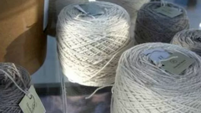 Con sello neuquino: Hilados caprinos podrían revolucionar la economía regional