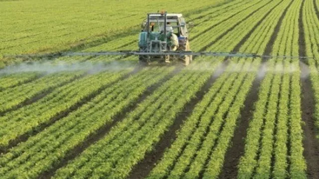 Tafirel intenta fumigar el “letargo” económico (Se acerca a AR)