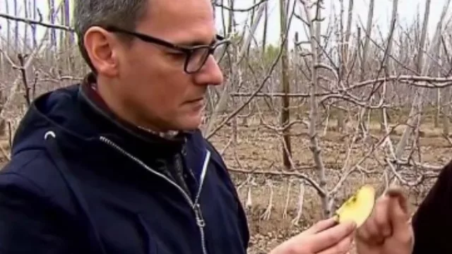 La manzana envenenada que mordió Daniel Malnatti (ASU dice la verdad sobre la venta de frutas)