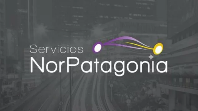 Servicios Norpatagonia, el Easy Taxi neuquino (debuta la semana que viene)