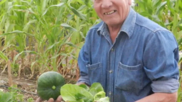 Las huertas en la ciudad de Neuquén quieren ser el milagro del segundo semestre