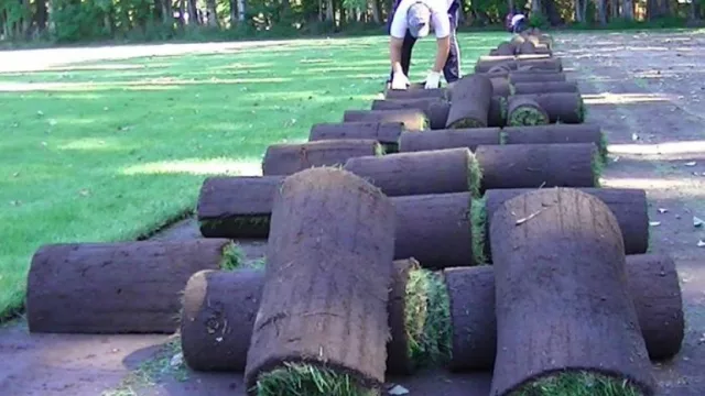 El césped del Estadio Único de La Plata es un poco neuquino (Vivero Natural lo hizo)