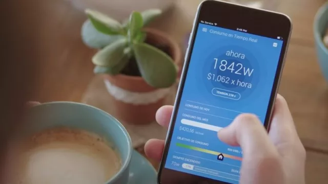 Cómo son y cuánto cuestan los "aparatitos" que van diciendo cuánto consumís de electricidad