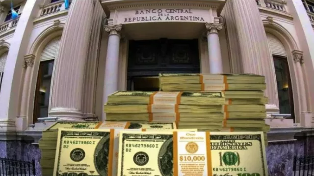 Reservas: un sector clave anunció un importante aporte de dólares