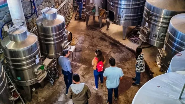 Tucumán fortalece lazos comerciales con Brasil: empresarios brasileños recorrieron la Ruta del Vino de Tucumán