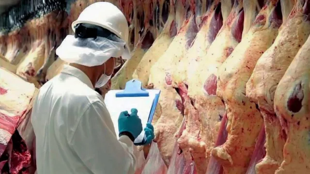 La carne también aporta dólares: fuerte suba del volumen exportado