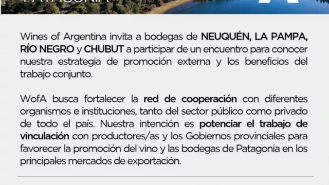 Wines of Argentina organiza un encuentro en Patagonia (para seguir articulando la cooperación en la región)