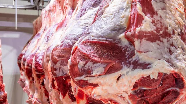 Suma y sigue: Exportación cárnica bate nuevo récord (US$ 1.476 millones recaudados hasta octubre)