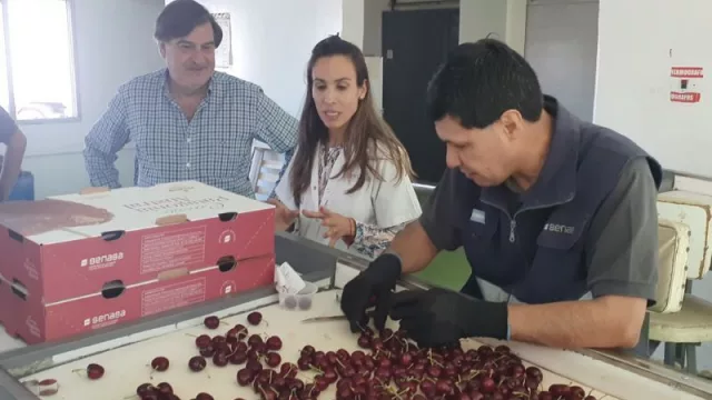 Acciones en territorio para fortalecer las cadenas productivas de Río Negro y Neuquén