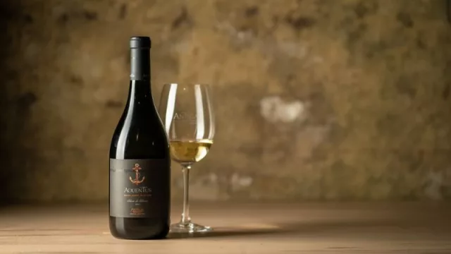 Aduentus Blanc de Blancs 2022, la nueva joya de Antigal Winery