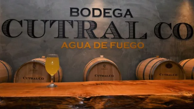 Bodega Agua de Fuego de Viñedos del Viento elabora vinos en Cutral Co