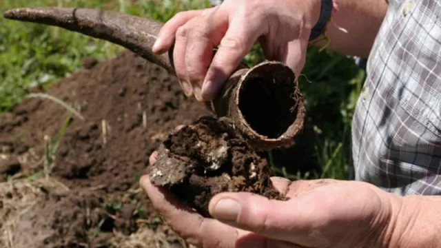 Comienza a producirse en Neuquén los vinos biodinámicos (conocidos por “descontaminar” la tierra por su método ancestral de cultivo)
