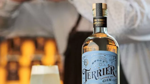 Gin Terrier en envase bag in box (la apuesta de la Familia Millán en el Día Mundial del Cóctel)